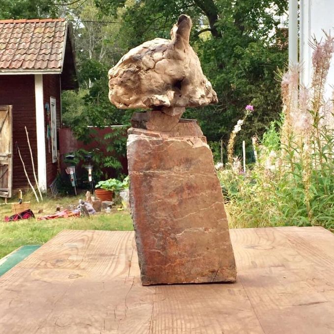 Kattdjur